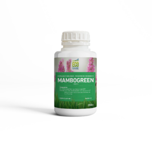 Mambogreen
